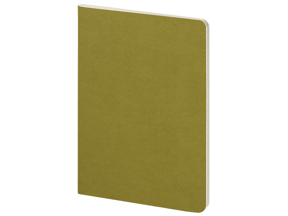 Бизнес тетрадь А5 «Pragmatic»