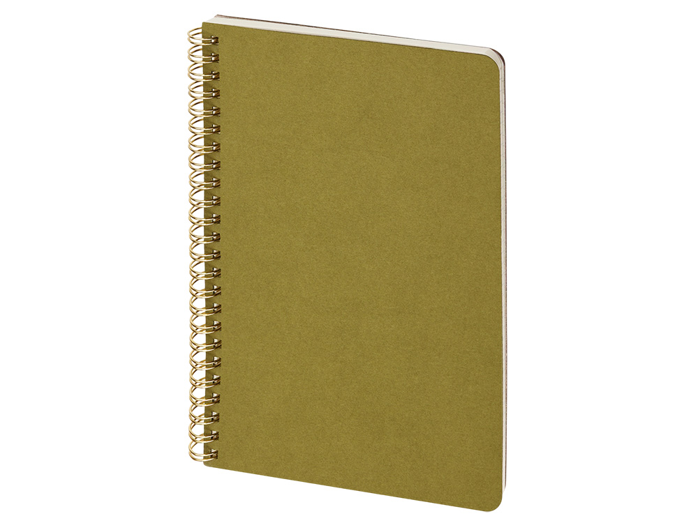 Бизнес тетрадь А5 «Pragmatic»