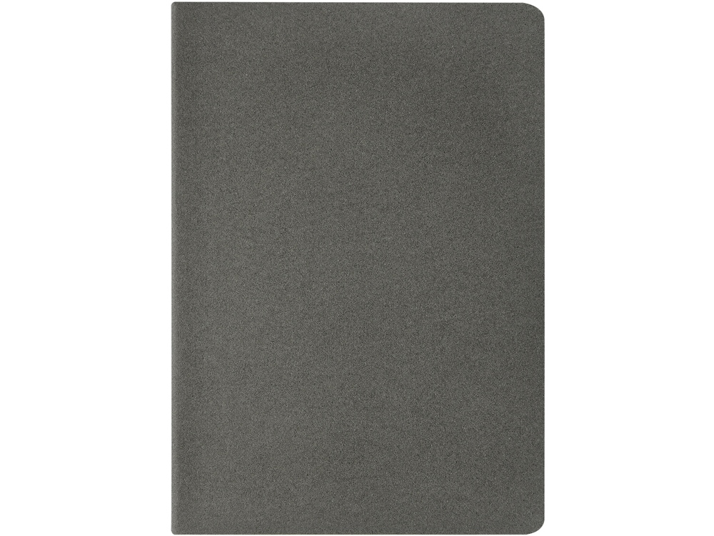 Бизнес-тетрадь А4 «Pragmatic»