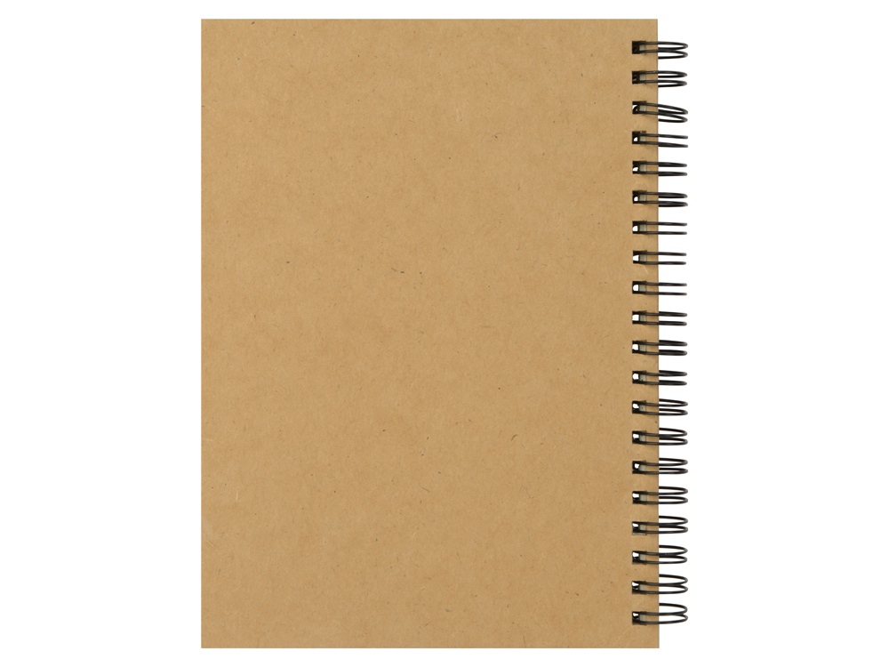 Блокнот А6+ «Mendel»