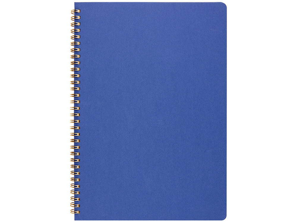 Бизнес-тетрадь А4 "Pragmatic"