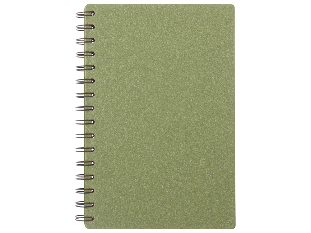 Блокнот А5 на спирали «Mania»