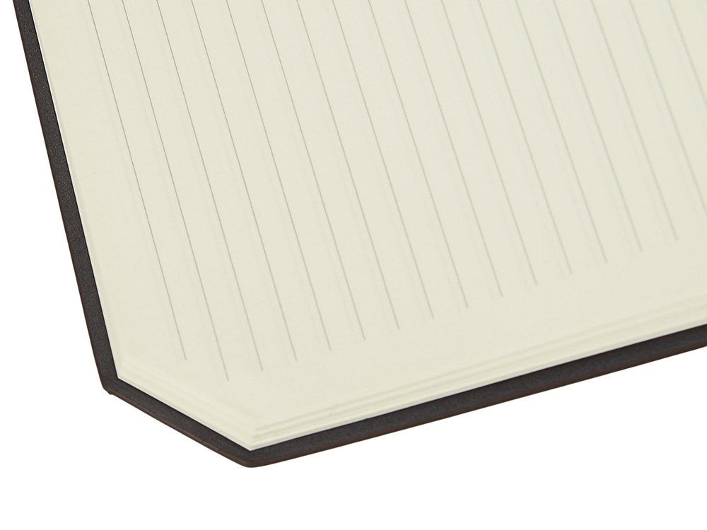 Блокнот А5 с магнитным клапаном в гибкой обложке «Chaplin»