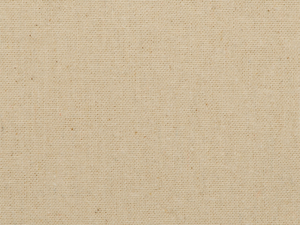 Сумка из плотного хлопка «Carryme 220», 220 г/м2