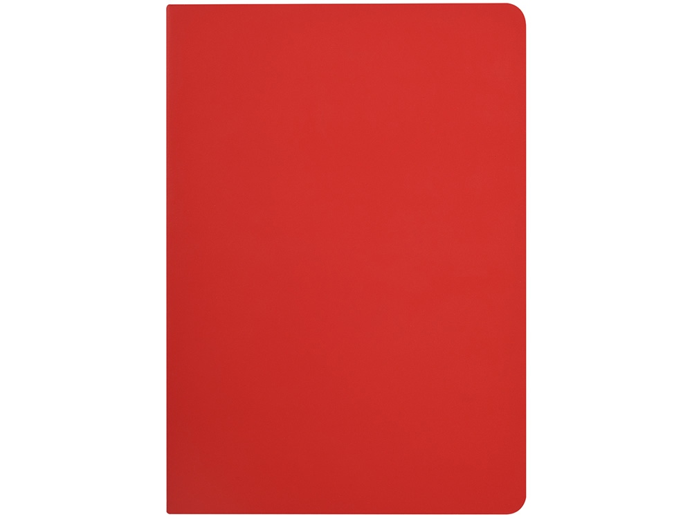 Бизнес-тетрадь А5 «Pragmatic Contrast»