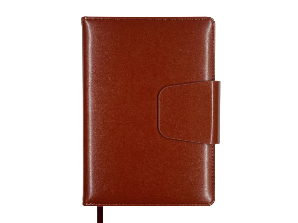 Ежедневник недатированный А5 «Prestige»