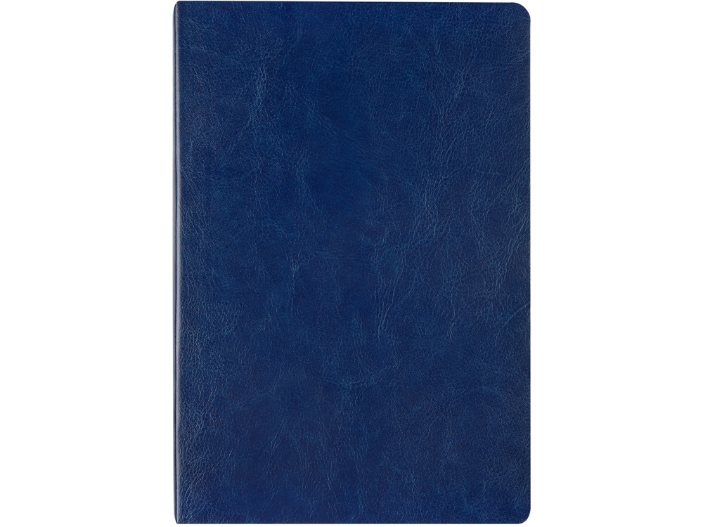 Ежедневник недатированный А5 «Megapolis Nebraska Flex»