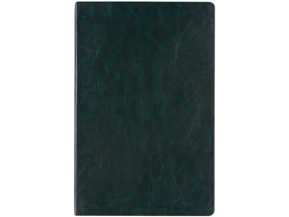 Ежедневник недатированный А5 «Megapolis Nebraska Flex»