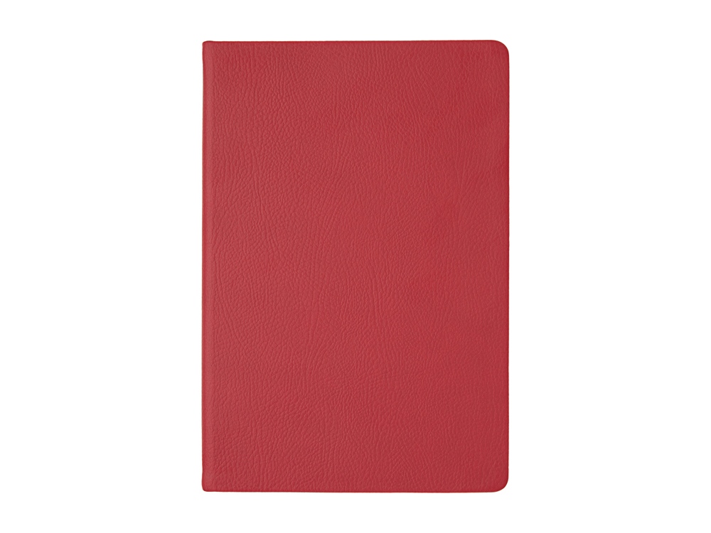 Ежедневник недатированный А5 «Megapolis Nappa»