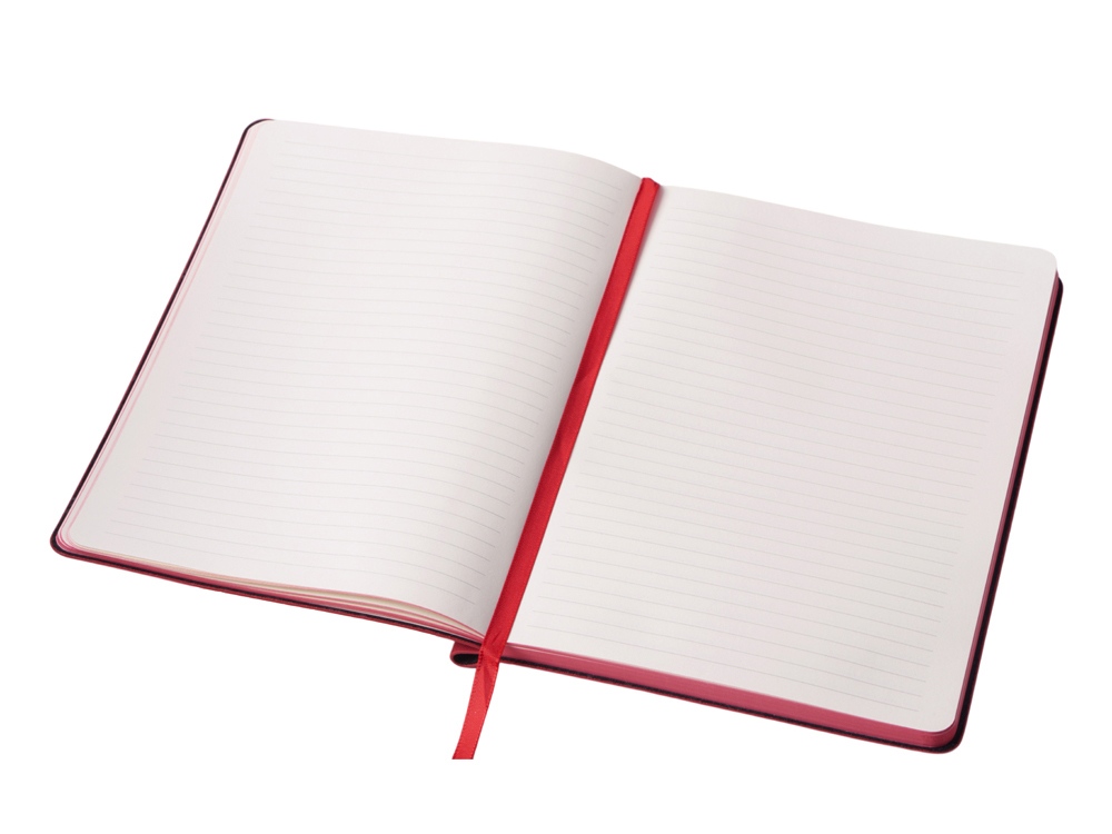 Блокнот в гибкой обложке А5 «Notepeno Max»