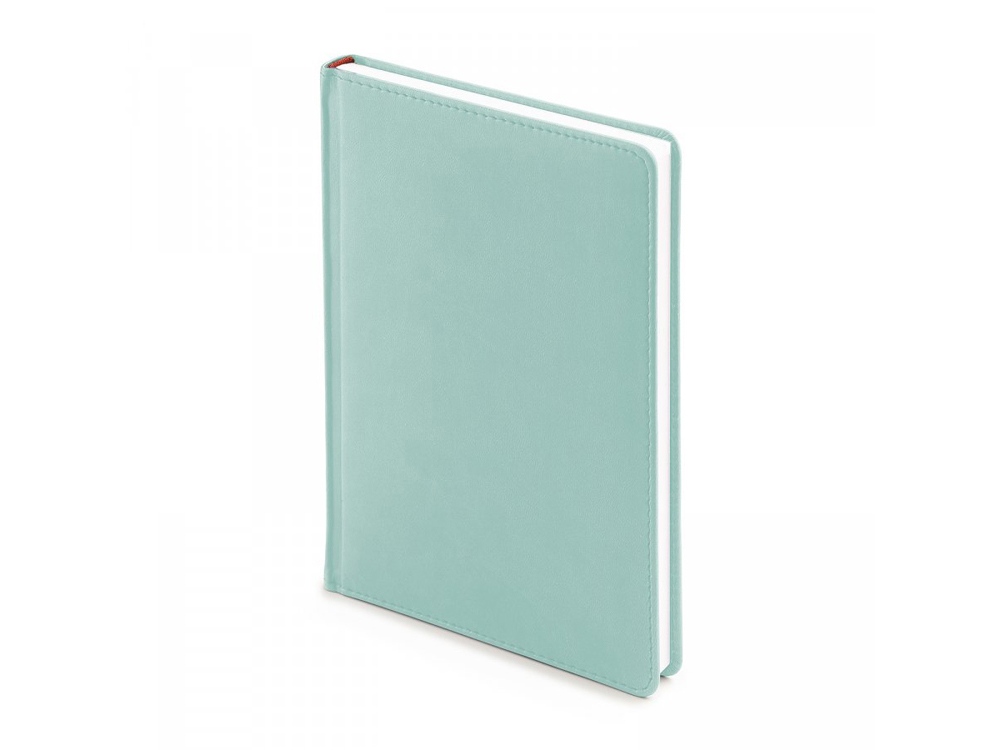 Ежедневник недатированный А5 «Velvet»