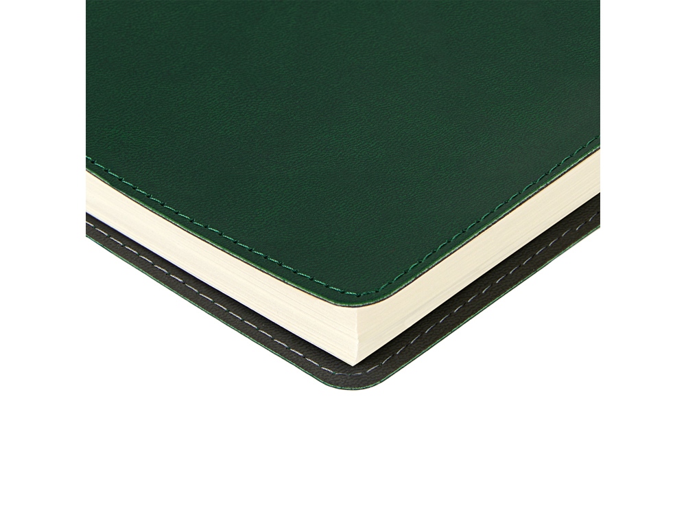 Ежедневник А5 «Tintoretto»