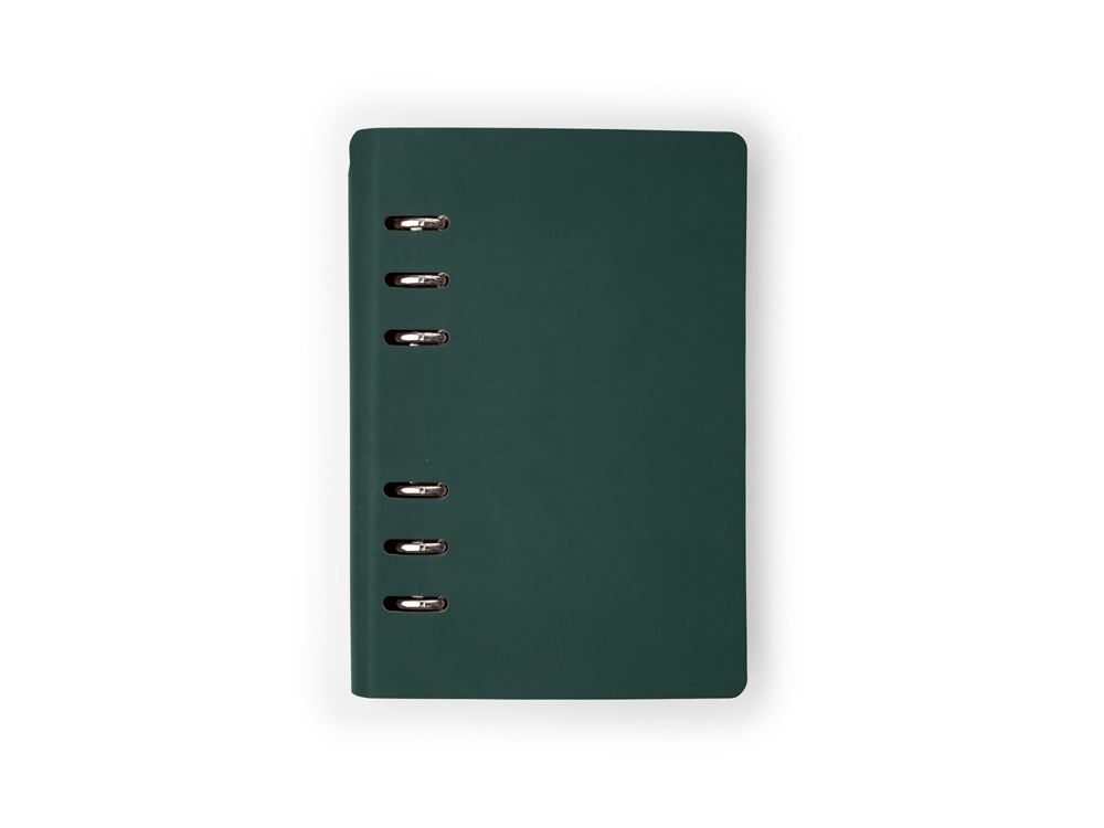 Ежедневник недатированный А5 «Firenze»