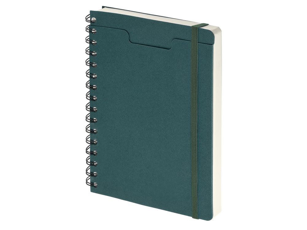 Ежедневник недатированный А5 «Pragmatic»