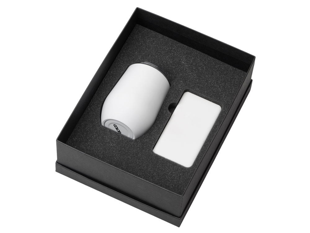 Подарочный набор «COLOR IT» с термокружкой и повербанком