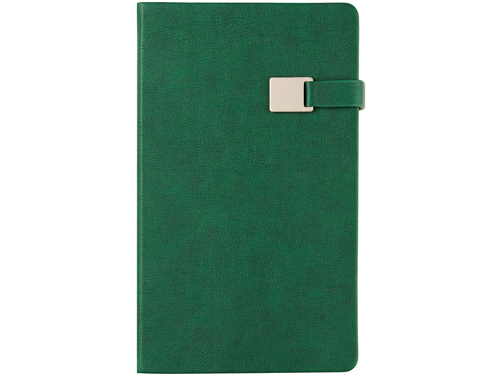 Ежедневник недатированный А5 «Premier»