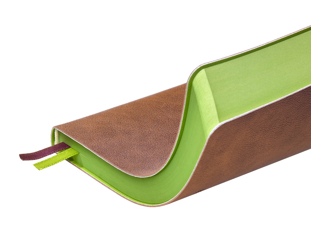 Ежедневник А5 датированный «Boston» на 2026 год