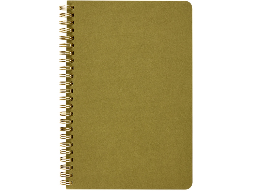 Бизнес тетрадь А5 «Pragmatic»