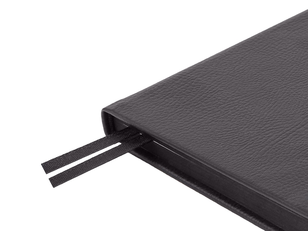 Ежедневник А5 датированный «Megapolis Nappa» на 2026