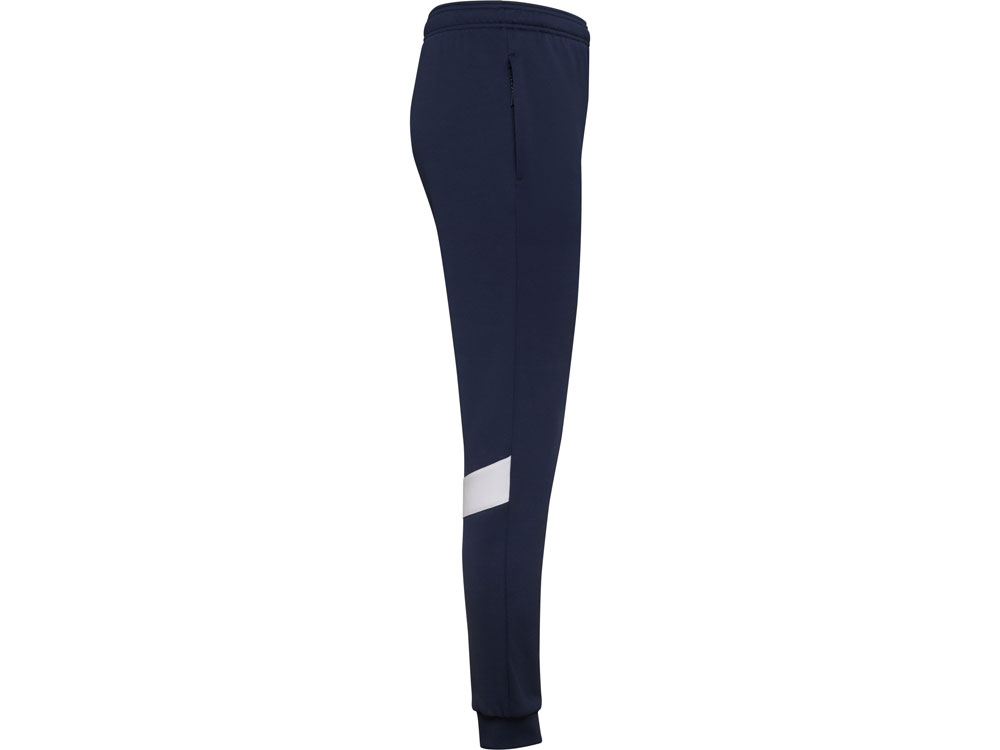 Брюки спортивные «Rodas», мужские