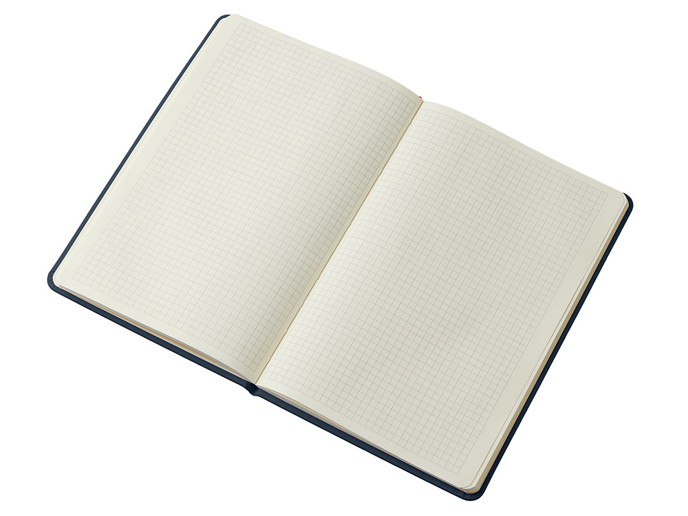 Блокнот в твердой обложке A5 «Виспи» в клетку