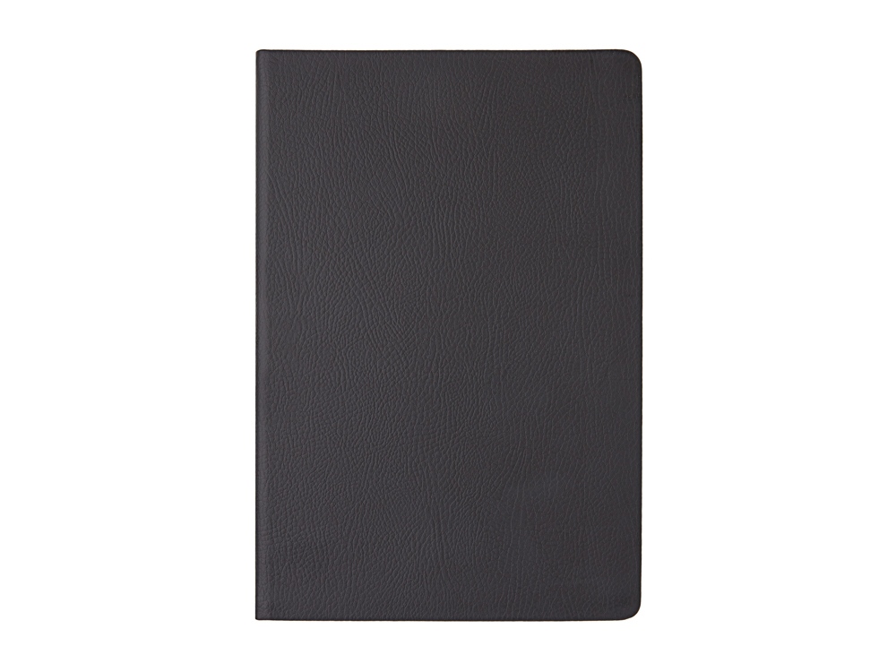 Ежедневник А5 датированный «Megapolis Nappa» на 2026