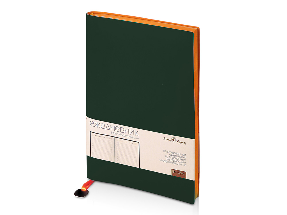 Ежедневник недатированный А5 «Mercury»