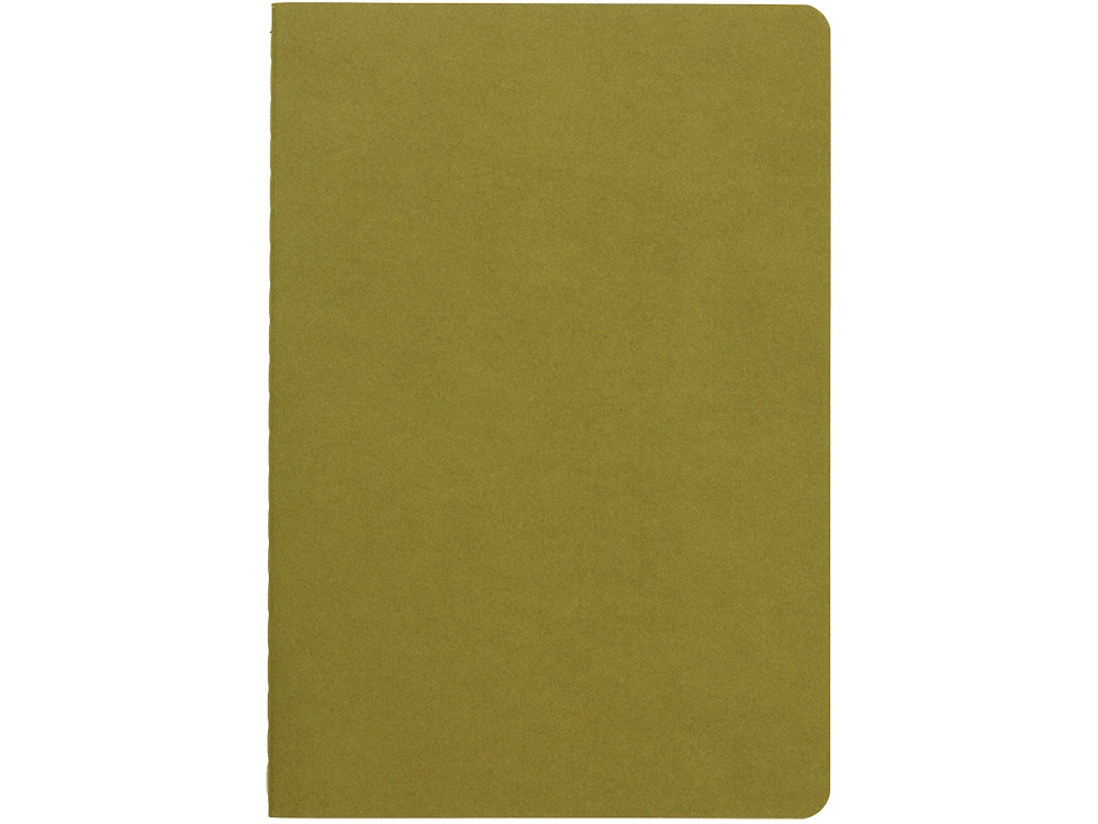 Бизнес тетрадь А5 «Pragmatic»